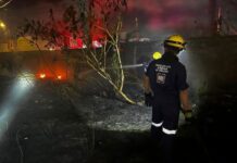 Atiende PC municipal de Veracruz afectaciones por paso de Frente Frío 43