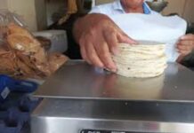 Tortilla subirá un peso en Veracruz y Boca del Río por aumento en insumos