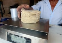 Alza a la tortilla en Veracruz desde el lunes 20 de abril