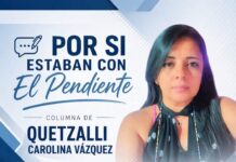 Por Si Estaban Con El Pendiente/Quetzalli Carolina Vázquez