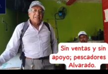 Del mar a la basura: crónica de una pesca que nadie compra por temor a contaminación por hidrocarburo