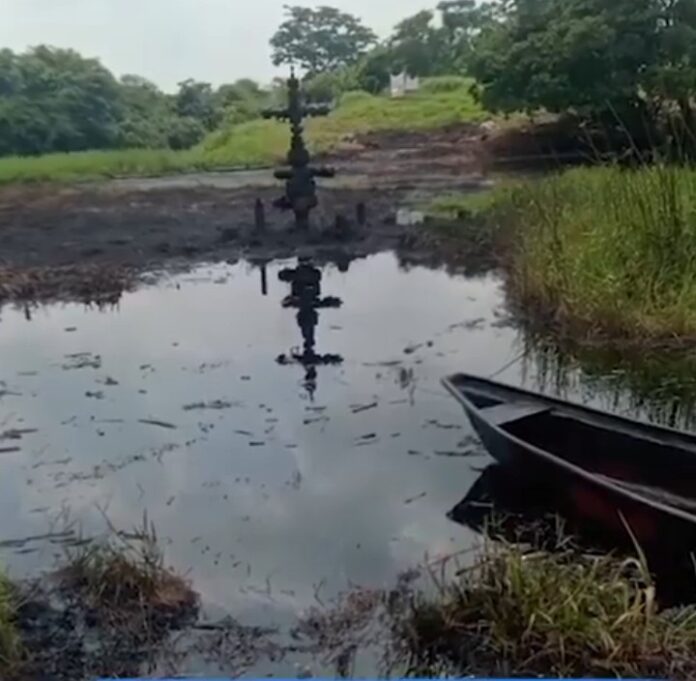 Screenshot_20260415_202046_Chrome