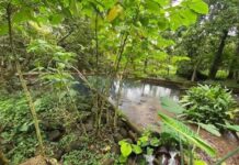 Vecinos de Soteapan bloquean Platanillo, manantial que surte agua en Acayucan, Oluta y Soconusco