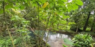 Vecinos de Soteapan bloquean Platanillo, manantial que surte agua en Acayucan, Oluta y Soconusco
