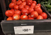 Tomate sigue caro en Veracruz; kilo rebasa los 58 pesos en mercados