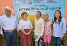 Impulsa Ayuntamiento de Veracruz apoyos al campo y nuevos servicios agrarios en Santa Fe
