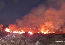 Protección Civil de Medellín atiende y controla incendio de pastizal en Puente Moreno