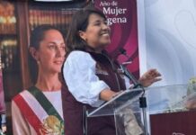 Julio Berdegué renuncia a la Secretaría de Agricultura; Sheinbaum designa a Columba López