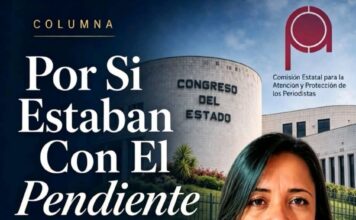 Por Si Estaban Con El Pendiente/Quetzalli Carolina Vázquez