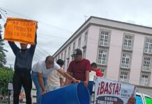 Ganaderos llevan vacas y derraman leche frente a palacio de gobierno en Veracruz en protestan contra Nahle y Bienestar
