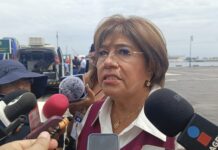 Veracruz descarta pantallas para el Mundial, son muy caras