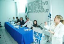 El PAN haría alianzas con todas las fuerzas políticas menos con Morena
