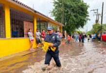 Otro desastre causan las lluvias en Veracruz: 60 casas inundadas, seis municipios afectados y activación del Plan D-N-III