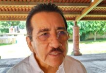 Lluvias han sido benéficas para la agricultura en el estado de Veracruz, después de dos años de sequía: Sedarpa