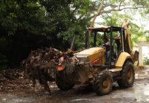 Medellín de Bravo fortalece acciones de limpieza y prevención para proteger la salud de las familias