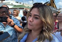 Comercios de Vía Muerta serán reordenados durante rehabilitación de la avenida en Boca del Río