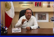 Quien delinque huye: alcalde de Veracruz que enfrenta petición de desafuero por asesinato de Roxana