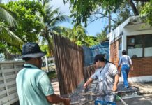 Resguarda Ayuntamiento de Veracruz a perrita víctima de maltrato en Lomas del Vergel
