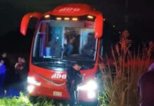Grupo armado asalta y despoja de pertenencias a pasajeros en Veracruz