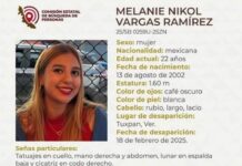 Ofrecen recompensa de 350 mil pesos por la universitaria Melanie Nikol, desaparecida hace más de año y medio