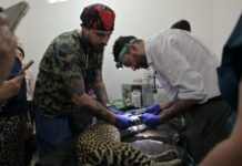 Fortalece Ayuntamiento de Veracruz el cuidado de los animales del Parque Miguel Ángel de Quevedo