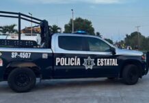 Hallan a mujer y hombre muertos dentro de bolsas negras en Veracruz; suman más de 36 presuntos feminicidios este año en el gobierno de Nahle