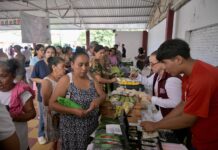 Impulsa Rosa María la economía y el desarrollo de la zona rural en la ciudad de Veracruz