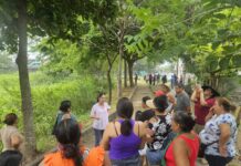 Recupera Ayuntamiento de Veracruz, en coordinación con la ciudadanía, laguna La Colorada