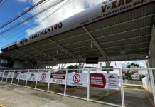 Falta de hologramas mantiene cerrados varios verificentros en Veracruz