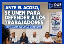 Sindicatos magisteriales se unen para combatir acoso, despidos y conflictos laborales en Veracruz