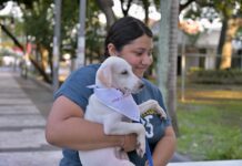 Encuentran hogar todos los caninos de la 17ª edición de la Expo Adopta