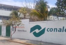 Van por el maestro del Conalep por violencia