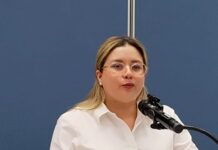Conferencias de prensa de Gobernadora de Veracruz no informan, distraen: PAN