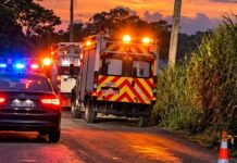 Hallan muerta a mujer con impactos de arma de fuego en Veracruz; el estado suma 43 feminicidios hasta agosto