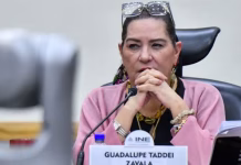 Se va: Taddei renuncia al INE en medio del escándalo de corrupción