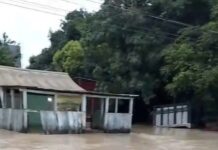 Desastre por lluvias en Veracruz: 14 municipios afectados, 144 damnificados y la activación de los planes Tajín, DN-III-E y Marina