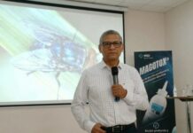 Reportan una muerte en Veracruz por gusano barrenador durante 2026