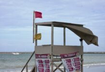 Exhorta Ayuntamiento de Veracruz a población a no realizar actividades en playas por marea alta