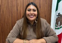 La Fiscalía de Veracruz dona más de tres toneladas de croquetas a refugios de animales
