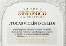 Yandel busca violinistas y cellistas para compartir escenario en su show sinfónico en Monterrey