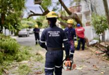 Atiende Ayuntamiento de Veracruz 41 afectaciones por Frente Frío No. 2 y mantiene operativo en toda la ciudad