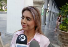 Atiende Protección Civil 72 reportes por evento de norte en Veracruz; reportan caída de árboles y postes