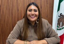 Regidora Adriana Muñoz pide denunciar maltrato a gatos negros y blancos durante Halloween y Día de Muertos
