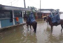 Fuerzas de tarea y planes de emergencia amplían la atención en Hueyapan y Los Tuxtlas
