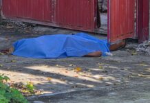 Adulto mayor pierde la vida tras presunta agresión en el Centro de Veracruz