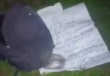 Tiran cabeza humana frente a oficinas del Poder Judicial de la Federación en Veracruz
