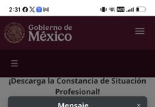 Aparte del presunto nepotismo que ejerce, funcionario de Nahle no ostenta título profesional