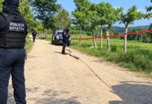 Asaltos, robos, inundaciones y asesinatos, empañan visita de Sheinbaum a Veracruz