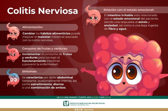 imss 1