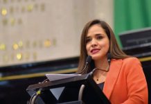 El daño ambiental en costas veracruzanas es real y exige respuestas: Elena Córdova